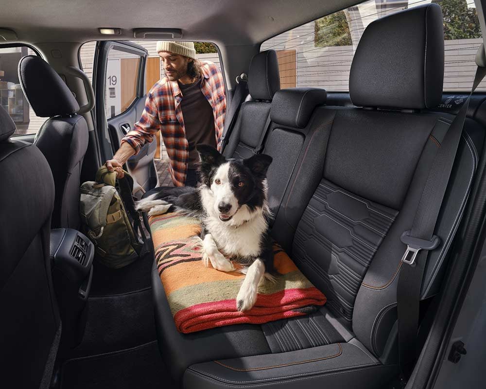 1/4 - Cómodo espacio trasero.